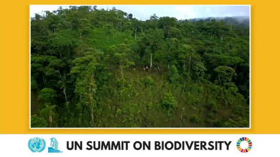 UN Summit on Biodiversity- General Assembly 75th Session- Part 2