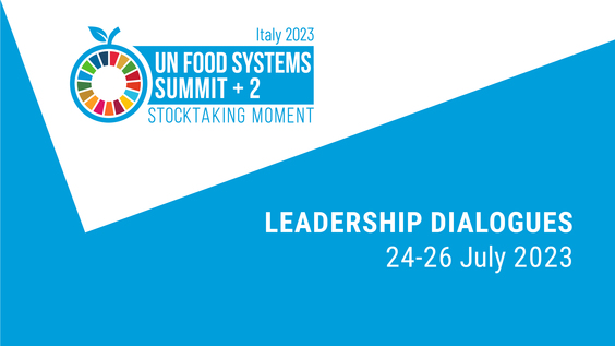 联合国粮食体系峰会+2阶段成果总结推进大会：领导对话 - 第3天上午
