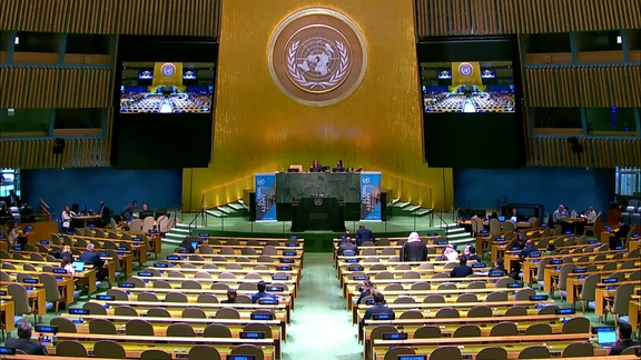 General Assembly: 105th Plenary meeting, 80th session