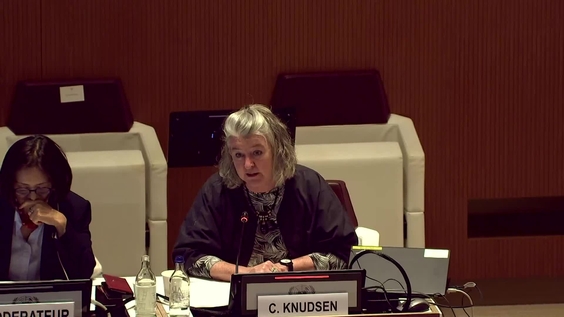 2025 ECOSOC Meeting on the Transition from Relief to Development - Economic and Social Council, 25th plenary meeting