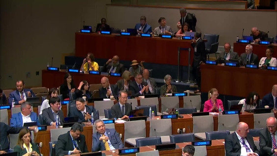 (3rd meeting) Fourteenth Session of the UN Committee of Experts on Global Geospatial Information Management (UN-GGIM)