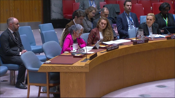 Working methods of the Security Council - Security Council, 10043rd meeting