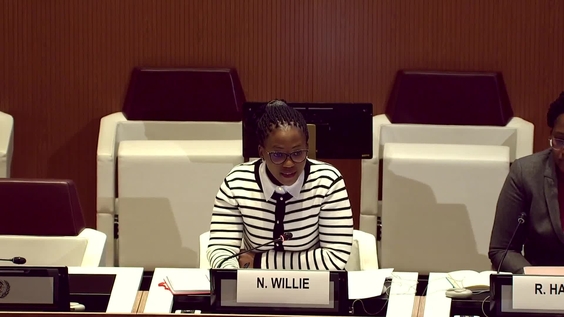"Smart Mix" in Action: Advancing BHR in Africa - Forum on Business and Human Rights 2024