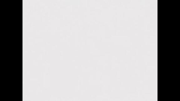 710th Meeting of Security Council