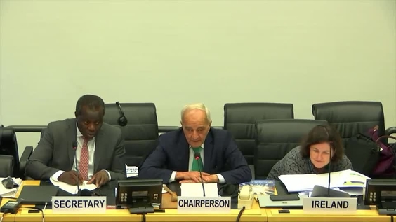 Consideration of Ireland (Cont'd) - 2785th Meeting, 100th Session Committee on Elimination of Racial Discrimination