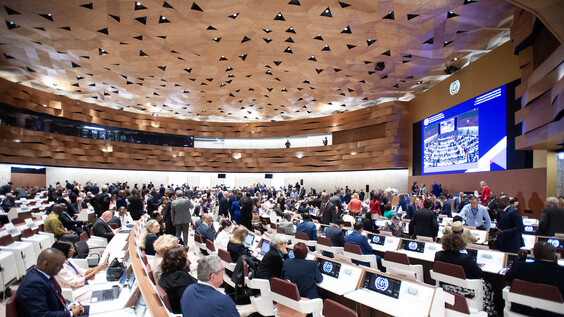 Plenary debates &ndash; Afternoon sitting