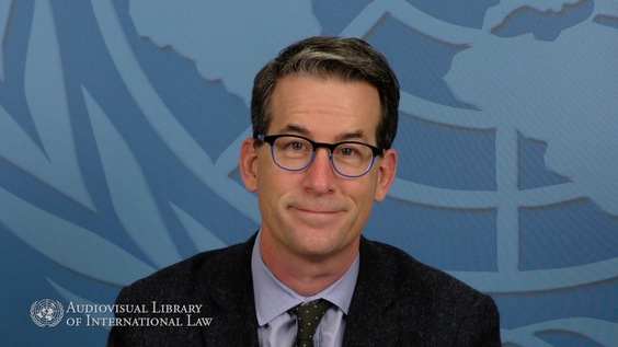Duncan B. Hollis - Situating Treaties in History, Functions, and Sources