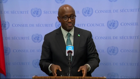 Olivier Nduhungirehe (Rwanda) on the Democratic Republic of Congo's Security Situation - Security Council Media Stakeout
