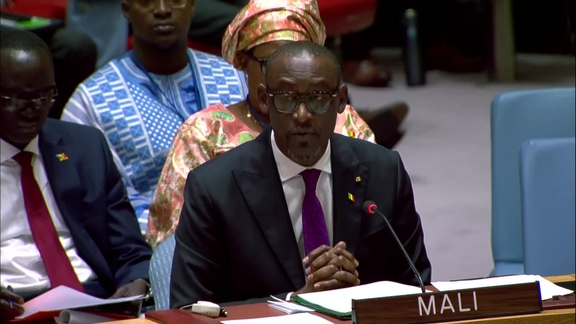 The Situation in Mali - Security Council, 9350th Meeting