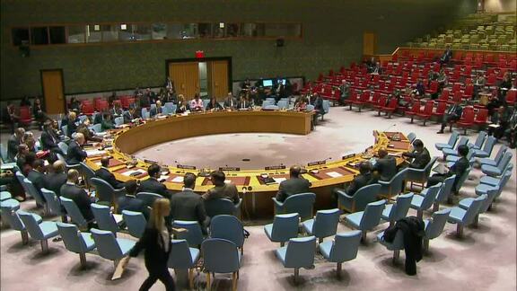 8198th Security Council Meeting: Situation in Democratic Republic of Congo