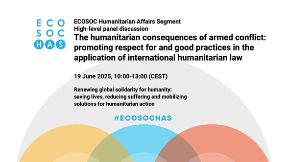 2025 ECOSOC Humanitarian Affairs Segment - Economic and Social Council, 29th Plenary Meeting