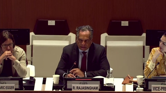 2025 ECOSOC Humanitarian Affairs Segment - Economic and Social Council, 29th Plenary Meeting