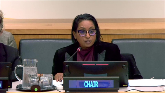 (2nd Plenary meeting) Special Committee on Decolonization (C-24) - 2026 session