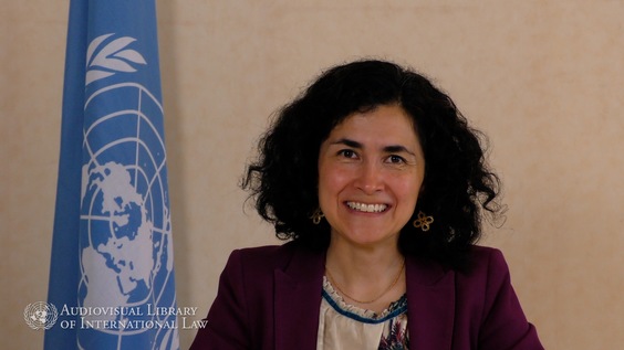 Clara Sandoval - Temáticas relevantes en materia de derecho a la reparación para víctimas de violencia sexual en conflictos armados