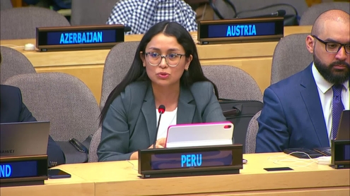 (Opening, Panel 1) Special Meeting on Credit Ratings - Economic and Social Council, 13th meeting, 2026 session