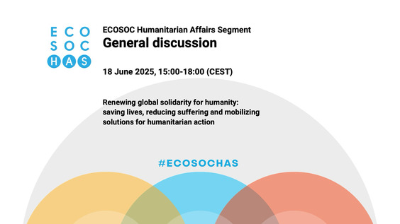 2025 ECOSOC Humanitarian Affairs Segment - Economic and Social Council, 28th Plenary Meeting