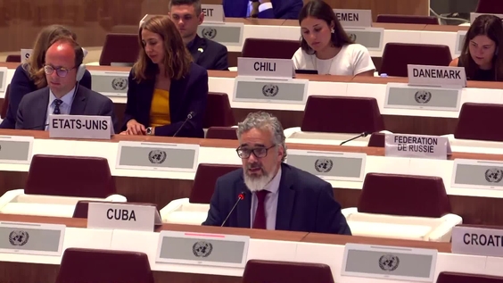 2025 ECOSOC Humanitarian Affairs Segment - Economic and Social Council, 28th Plenary Meeting