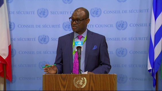 Al-Harith Idriss Al-Harith Mohamed (Sudan) on the situation in the Country - Security Council Media Stakeout