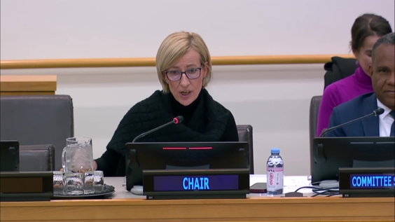 Fifth Committee, 11th plenary meeting - General Assembly, 80th session