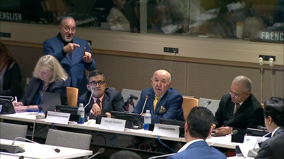 Global Disability Economic Alliance: AdvancingDisability-Inclusive Economic Growth (CRPD-COSP18 Side Event)