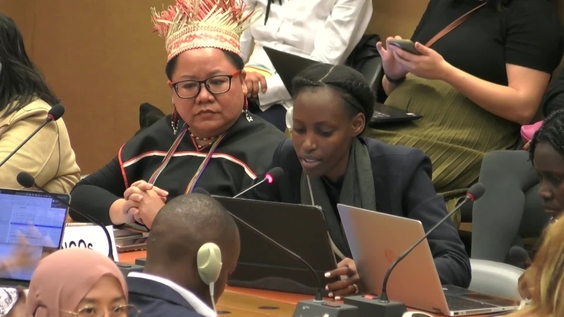 2070th Meeting, 88th Session, Committee on the Elimination of Discrimination against Women (CEDAW)