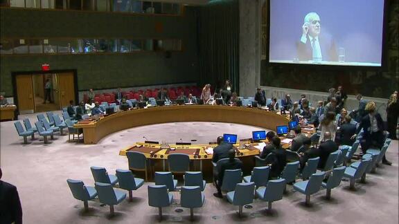 8263rd Security Council Meeting: Situation in Libya