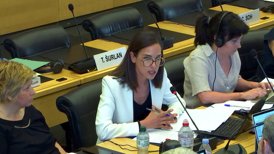 4239th Meeting, 144th Session, Human Rights Committee (CCPR)