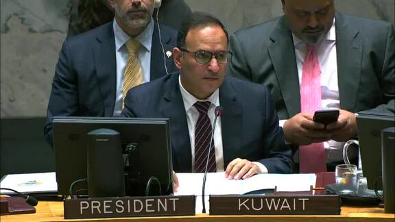 8541st Security Council Meeting: Situation in Kosovo
