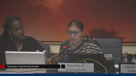 Committee of the Whole, Stock Taking Plenary | UNEA-7