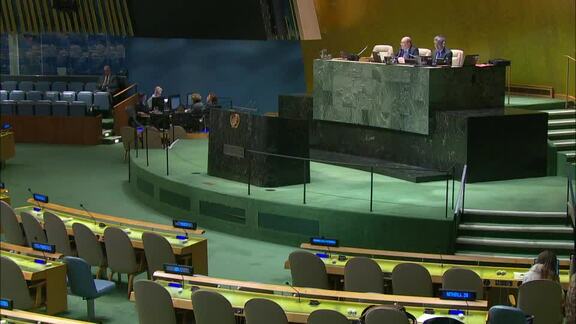 46th Plenary Meeting of General Assembly 73rd Session