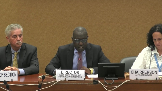 2089th Meeting, 89th Session, Committee on the Elimination of Discrimination against Women (CEDAW)