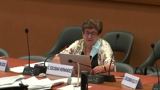 3601st Meeting, 73rd session of the International Law Commission