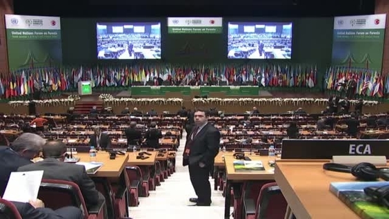 UN Forum on Forests - Sustainable Forest Management