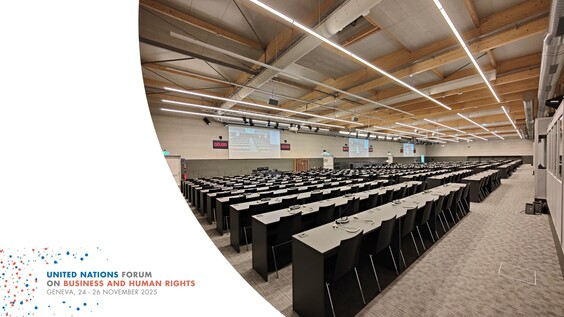 4th Meeting (Tempus) Forum on Business and Human Rights 2025