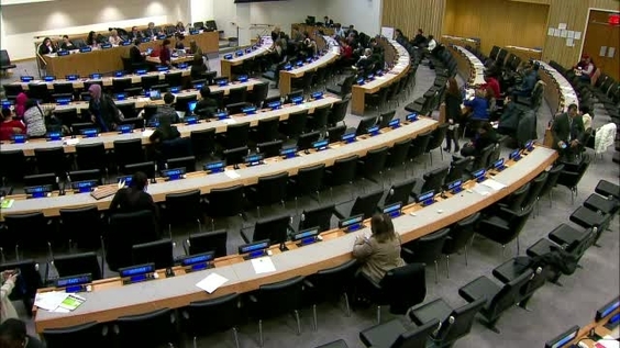 12th meeting, Commission on the Status of Women - Fifty-eighth session ...