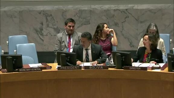 7982nd Security Council Meeting: Sudan and South Sudan