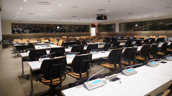Shaping the Future of Disability Inclusion: From CRPD at 20 to the Global Disability Summit 2028 (COSP19 Side Event)