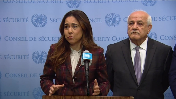 Joint Statement by Arab States on the situation in Palestine - Security Coincil Stakeout
