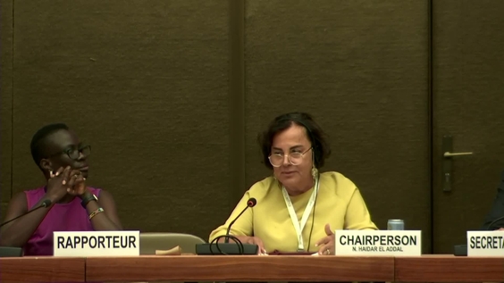 2177th Meeting, 91st Session, Committee on the Elimination of Discrimination against Women (CEDAW)