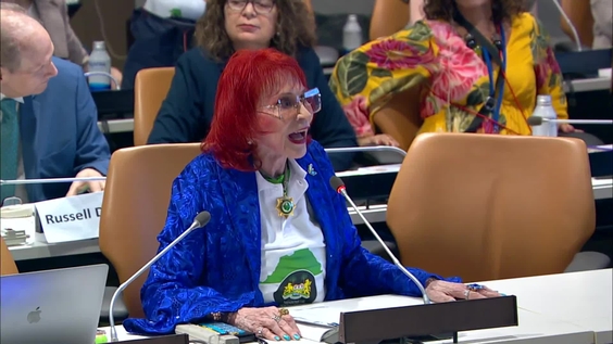 Addressing the adverse effects of Climate Events on Persons with Disabilities- The Sierra Leone Experience (CRPD-COSP18 Side Event)