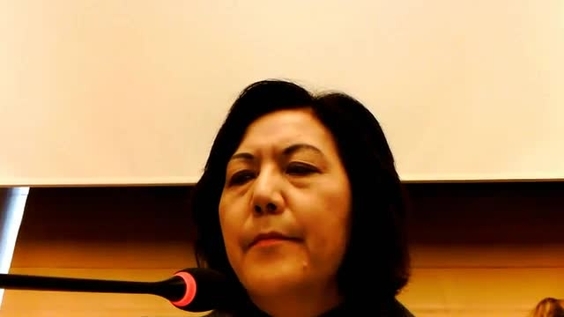 Consideration of the Netherlands - 1457th Meeting 65th Session Committee on the Elimination of Discrimination Against Women
