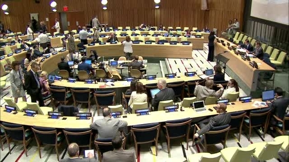 General Assembly, 103rd plenary meeting