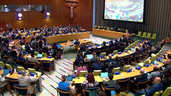 General Assembly: 107th Plenary meeting, 80th session
