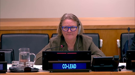 (14th meeting) - Fifth Session of the Intergovernmental Negotiating Committee on the UN Framework Convention on International Tax Cooperation (INC Tax) - 3 to 13 August 2026