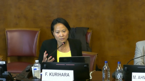 2nd Meeting, 11th Session GIEE on the Implementation of the Durban Declaration