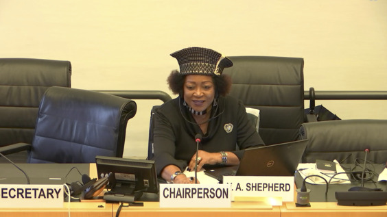 3040th Meeting, 111th Session, Committee on the Elimination of Racial Discrimination (CERD)