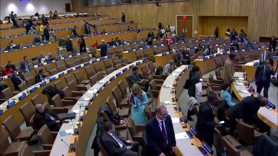 (3rd Plenary) 52nd session of the Commission on Population and Development (1 - 5 April 2019)