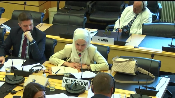 3090th Meeting, 113th Session, Committee on the Elimination of Racial Discrimination (CERD)