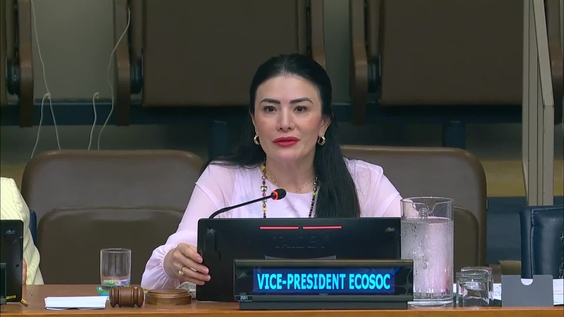 (3rd meeting) High-Level Political Forum 2025