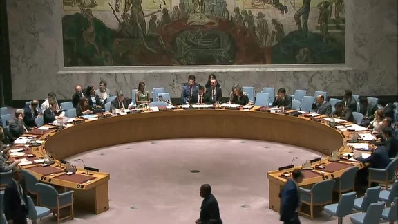 7993rd Security Council Meeting: Situation in Côte d’Ivoire